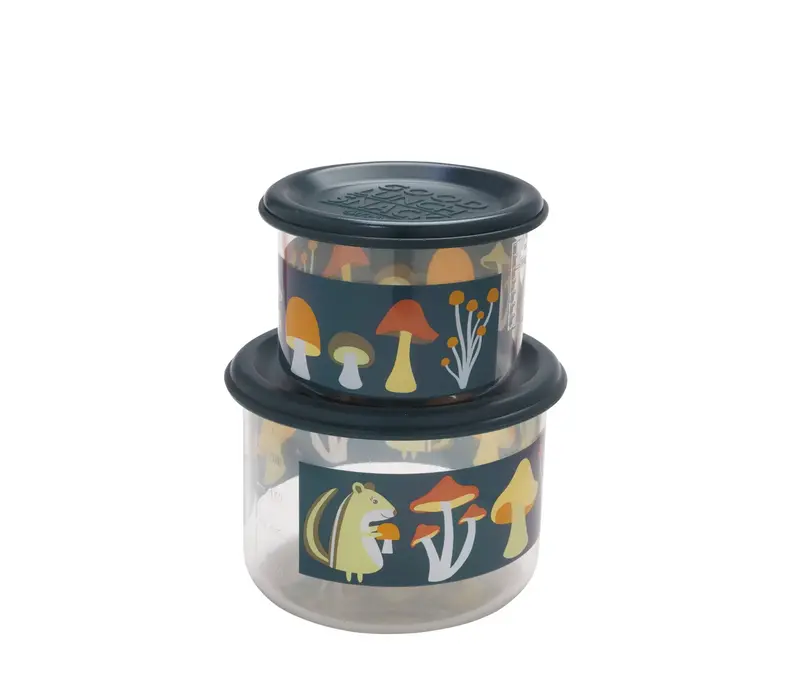 Good Lunch Snack Containers Set of 2