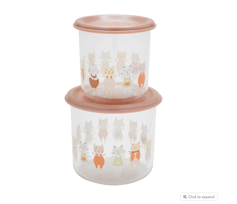 Good Lunch Snack Containers Set of 2