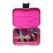 Fuschia Tint