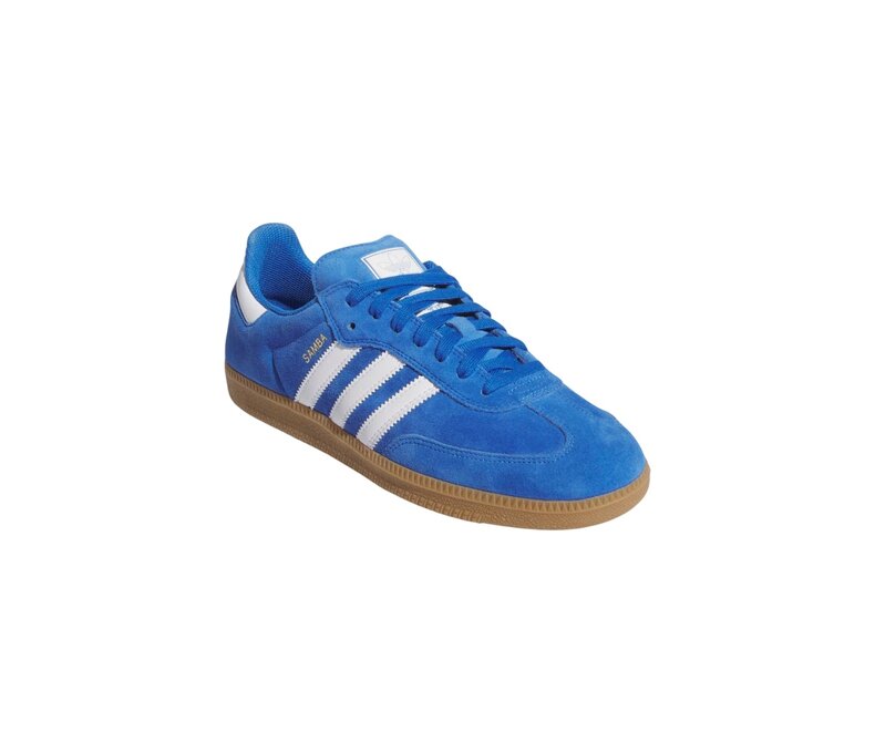 Samba ADV Shoes