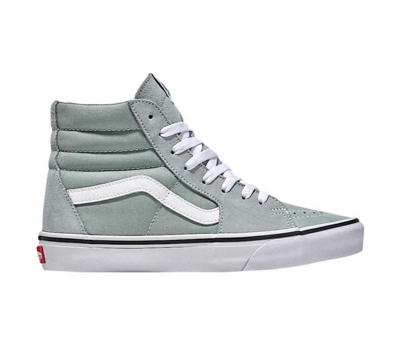 Youth Sk8-Hi Shoes