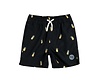 Boys Woven Swim Trunks