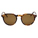 Tort Acetate / Brown Polarized