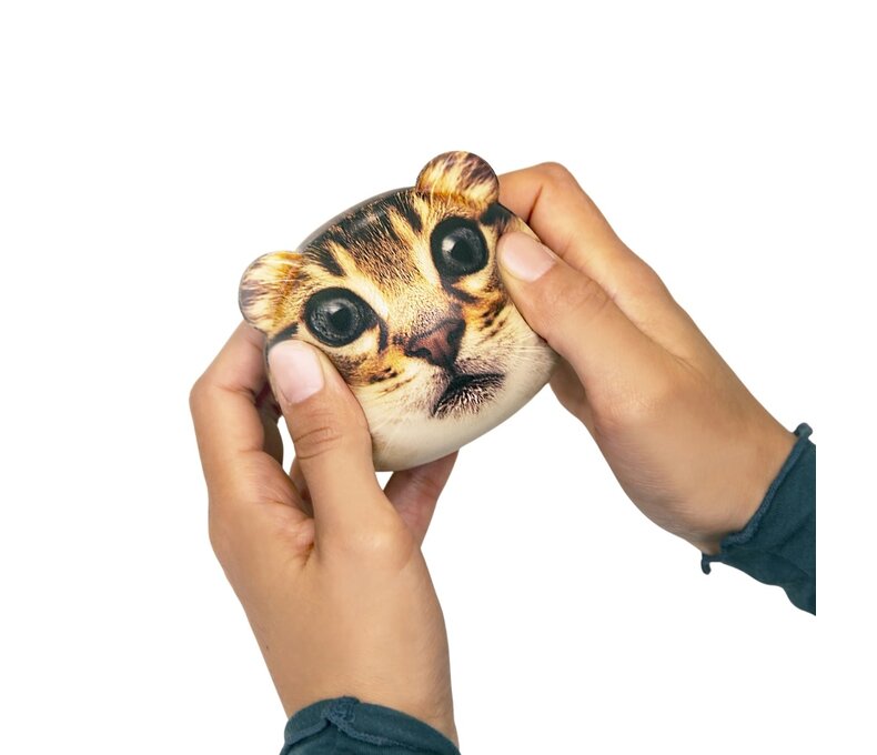 Feline Fine Stress Ball