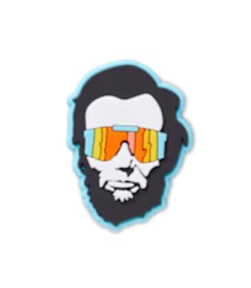 Presidential Sunglasses Jibbitz