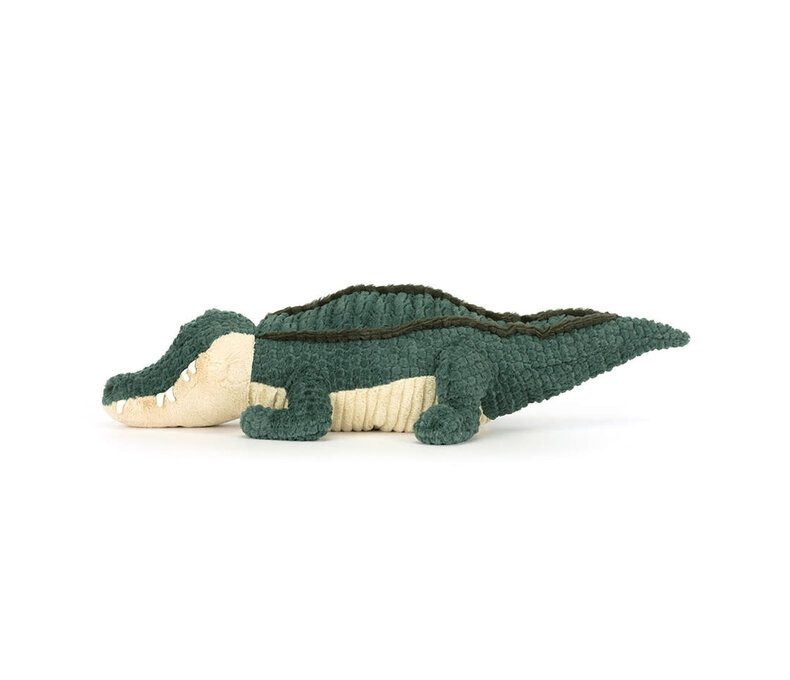 Allexi Alligator