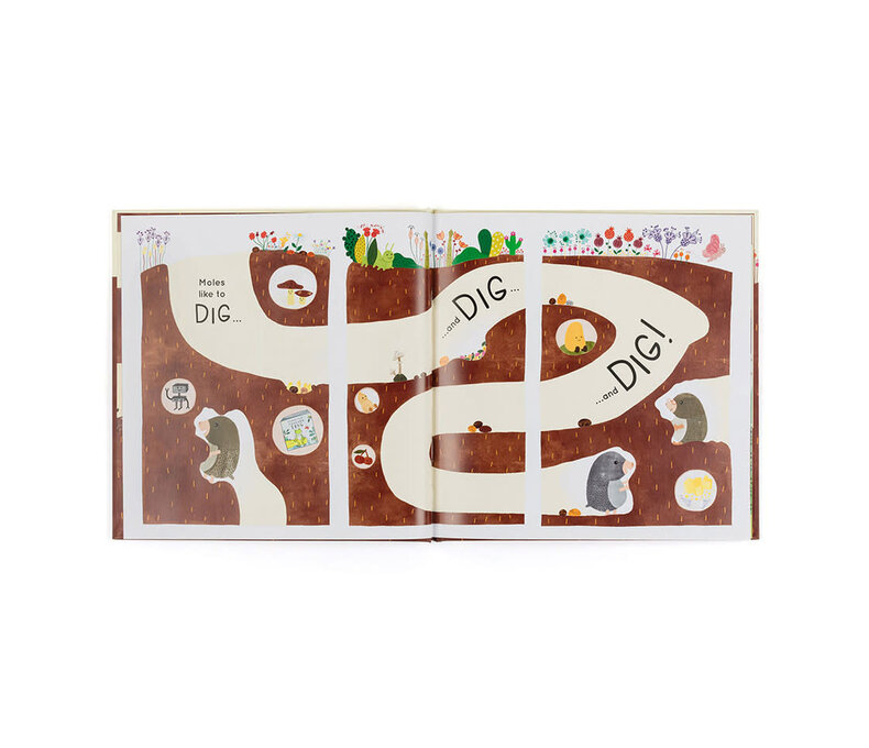 Muswell Mole and the Buried Treasure Book