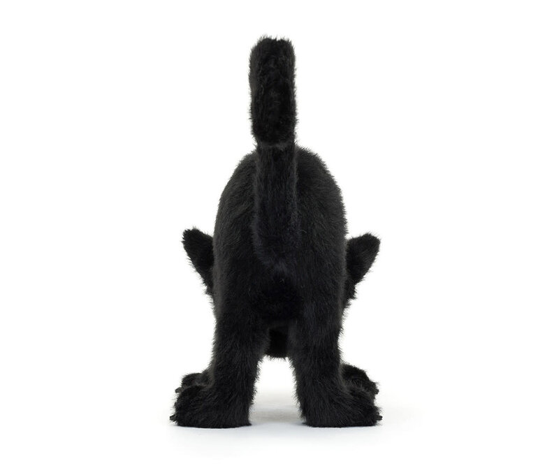 Spookipaws Cat