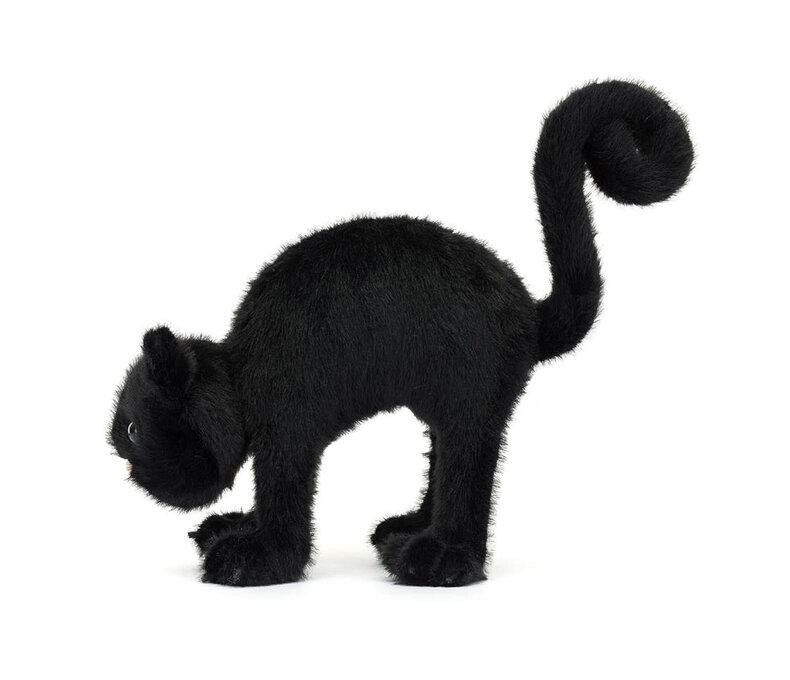 Spookipaws Cat