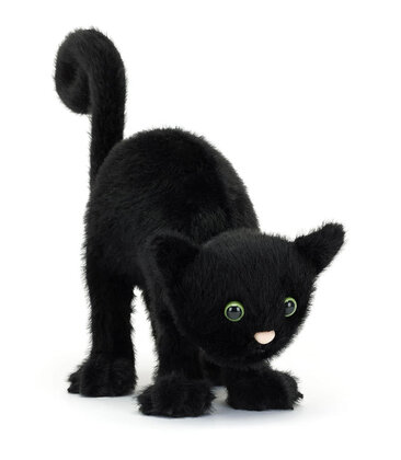 Spookipaws Cat