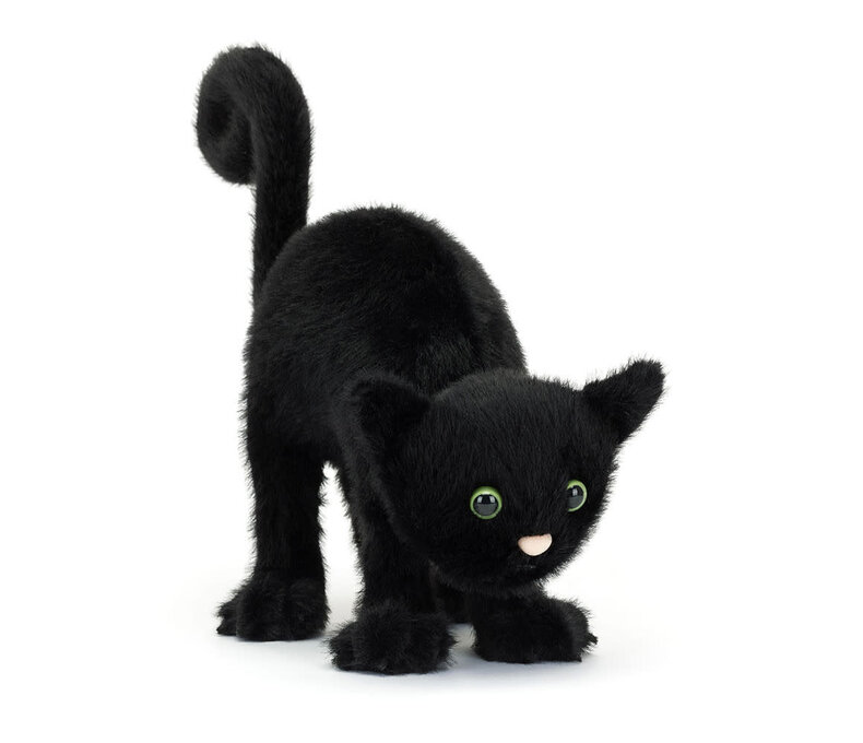 Spookipaws Cat