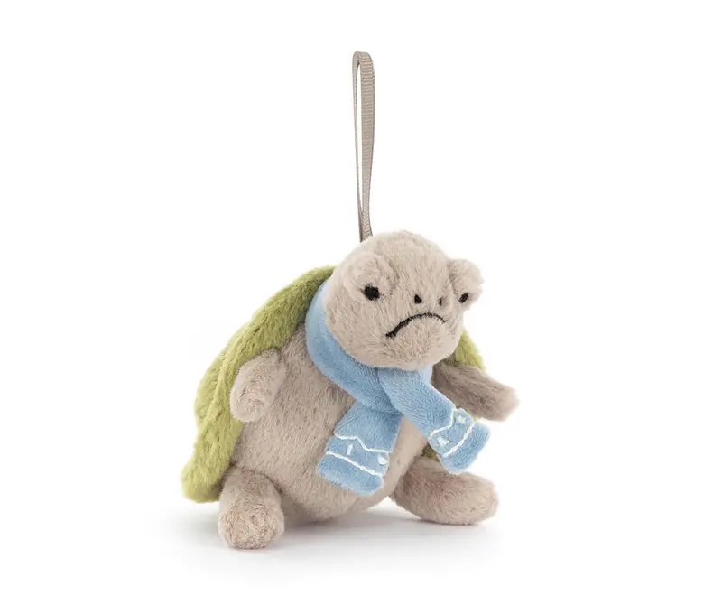 Timmy Turtle Decoration