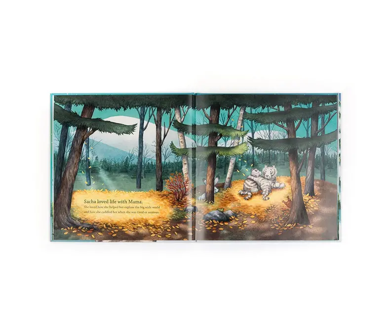 Sacha and the Most Wonderful Thing Book