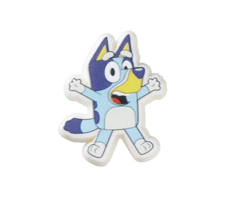 Bluey Jibbitz