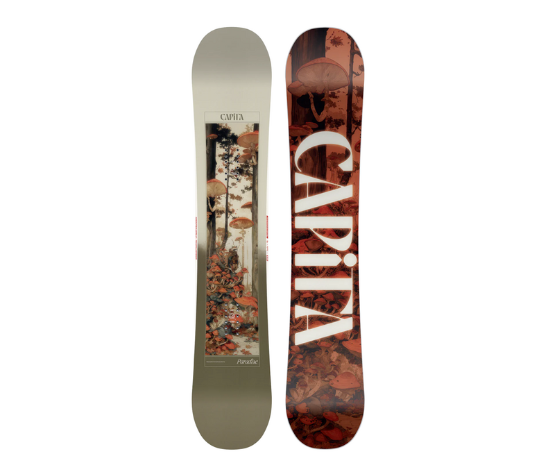 Paradise Snowboard 2026