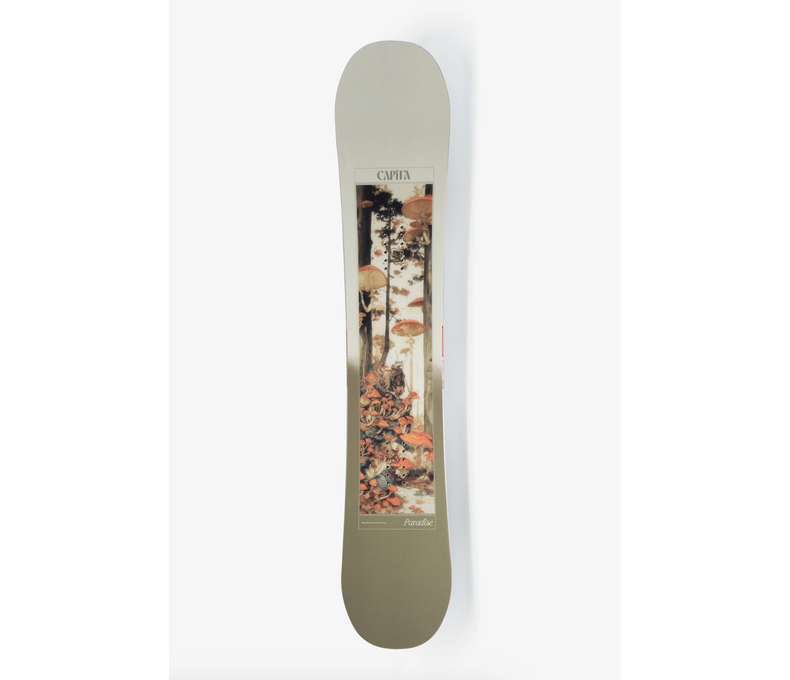 Paradise Snowboard 2026