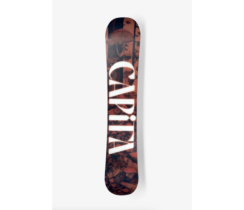 Paradise Snowboard 2026