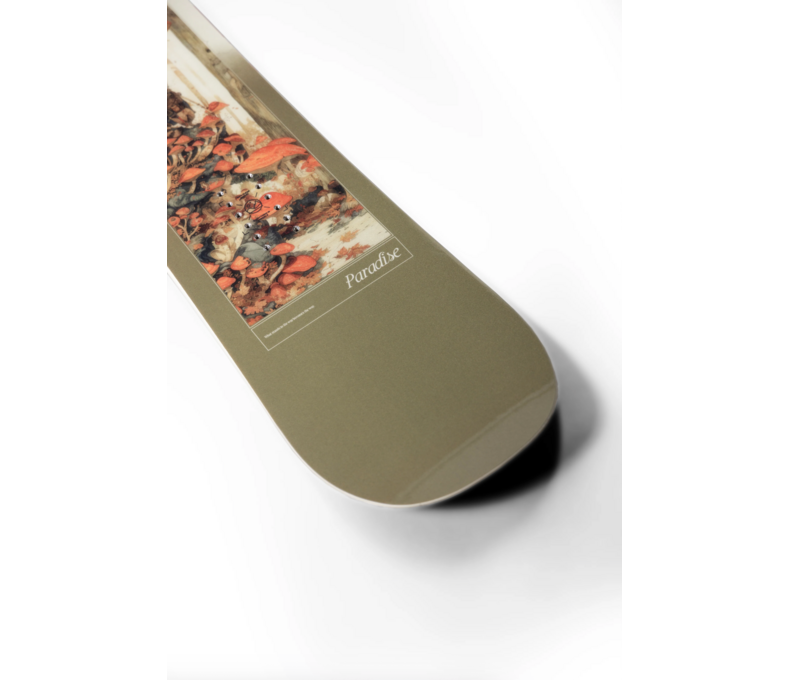 Paradise Snowboard 2026