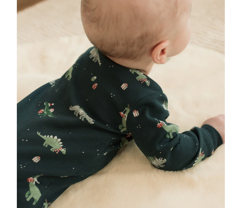 Holiday Dinosaur Print Sleeper
