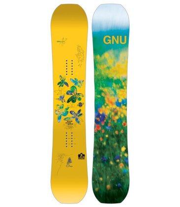 Gloss C Snowboard 25/26