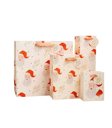 Santa Gift Bag
