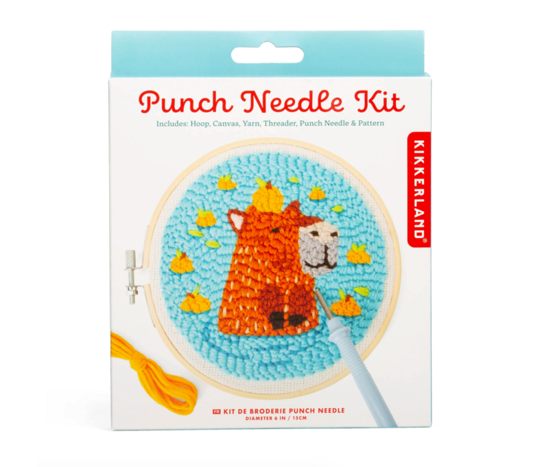 Punch Needle Kit