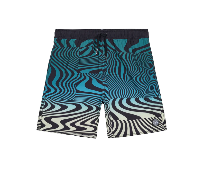 Big Boys Lido Print Boardshorts