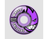 Team Colors F4 99 Radial
