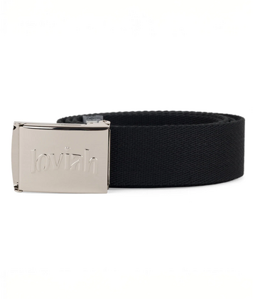 Chrome Webbing Belt