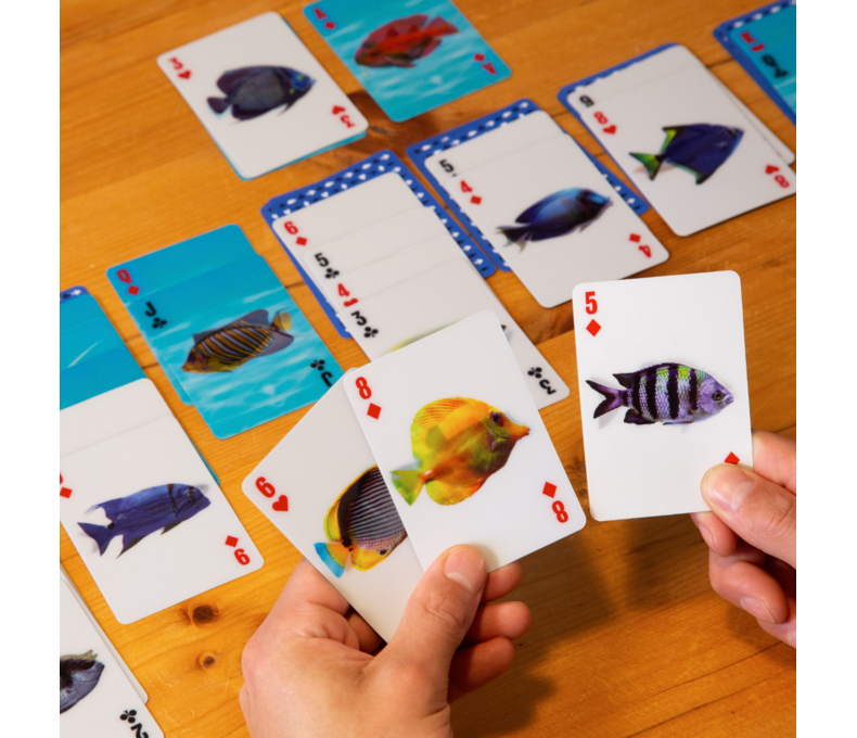 3-D Fish Cards