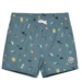 Coronet Blue