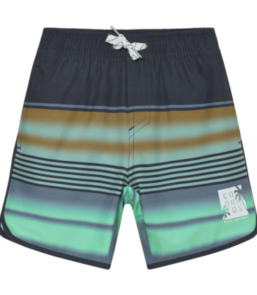 Swim Long Shorts AOP