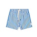 Collegiate Stripe