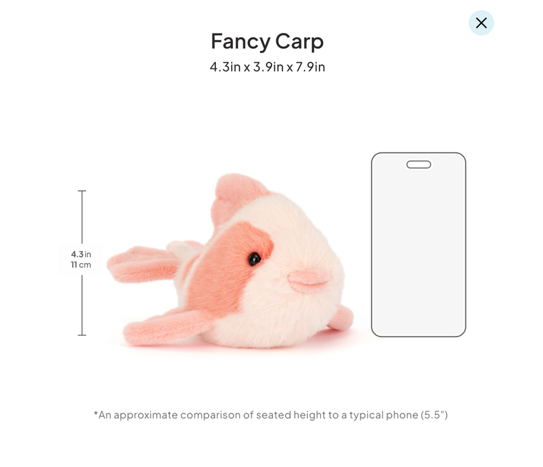 Fancy Carp
