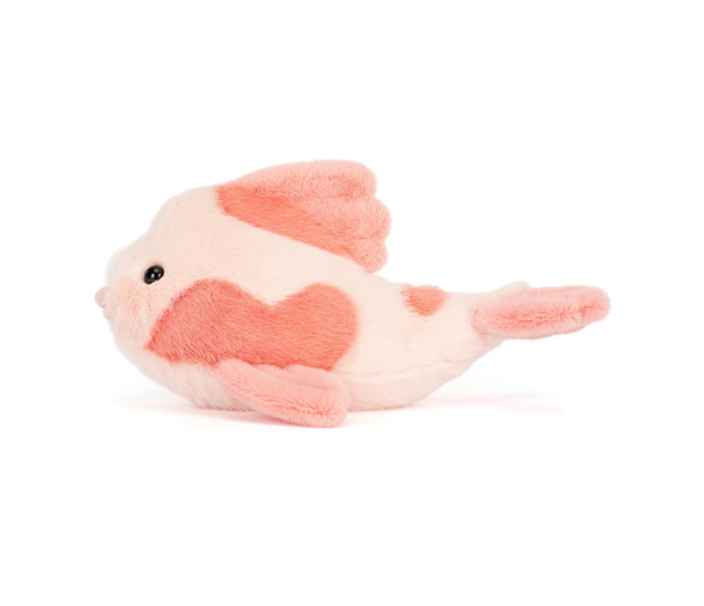 Fancy Carp