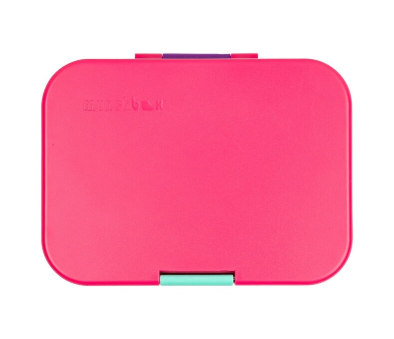 Mini4 Lunchbox