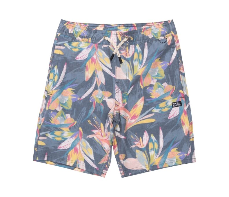Crew Boys Volley Boardshorts