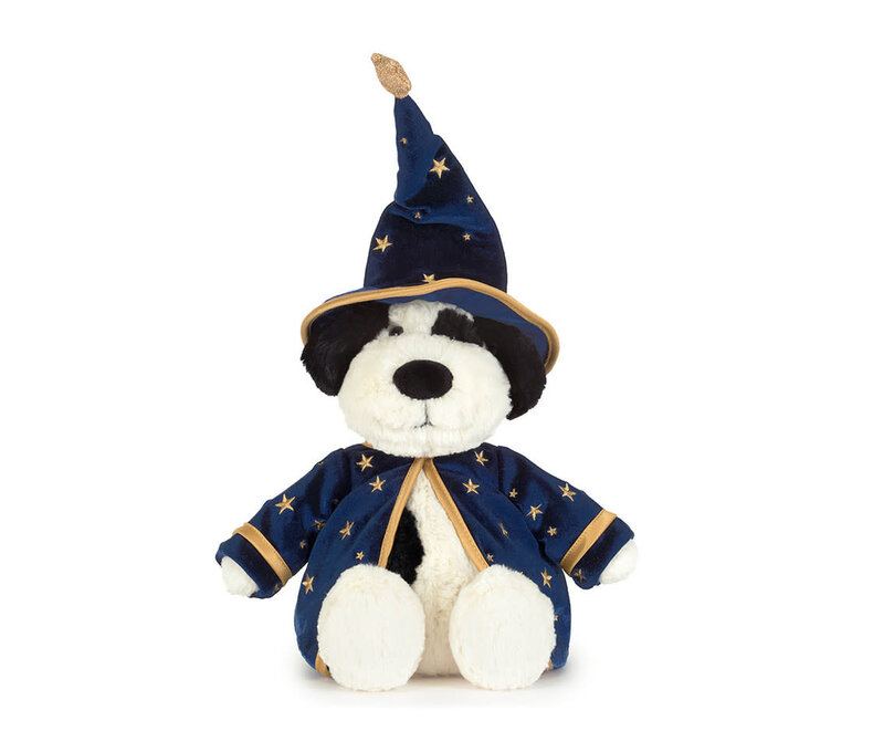 Rufferty Puppy Wizard Outfit