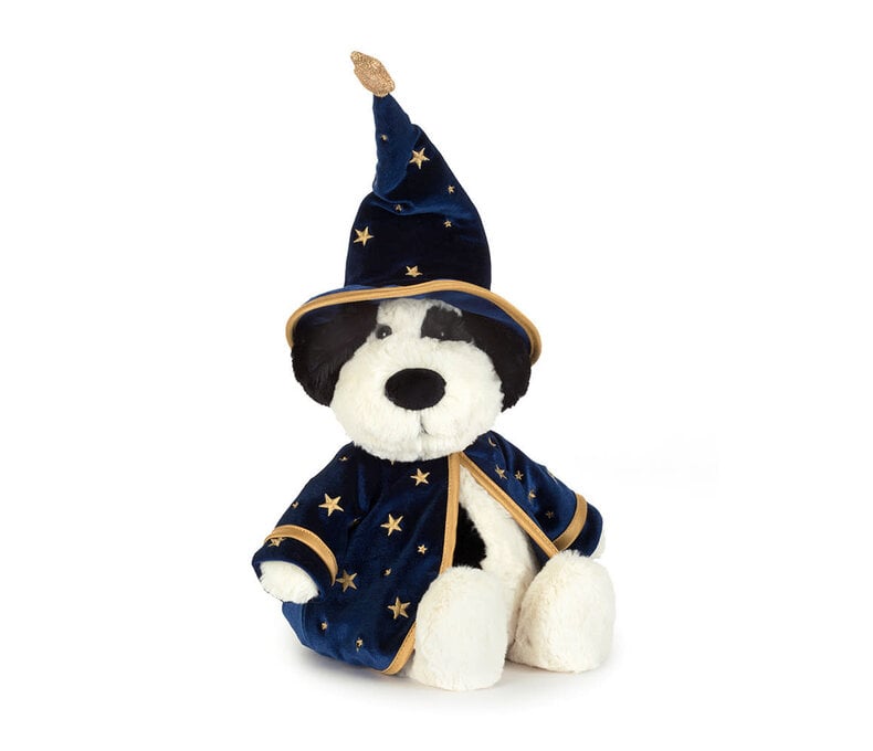 Rufferty Puppy Wizard Outfit