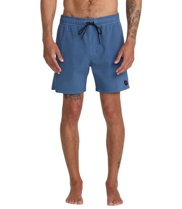 Pigment Elastic Waist Boardshorts