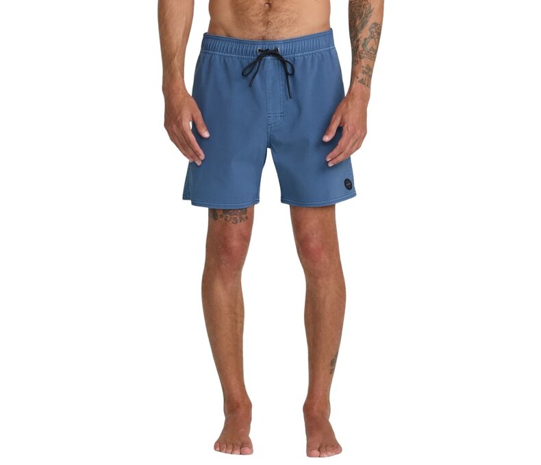 Pigment Elastic Waist Boardshorts