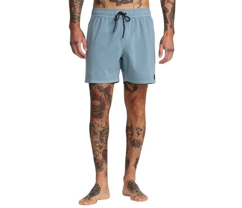 Pigment Elastic Waist Boardshorts