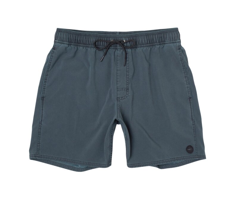 Pigment Elastic Waist Boardshorts