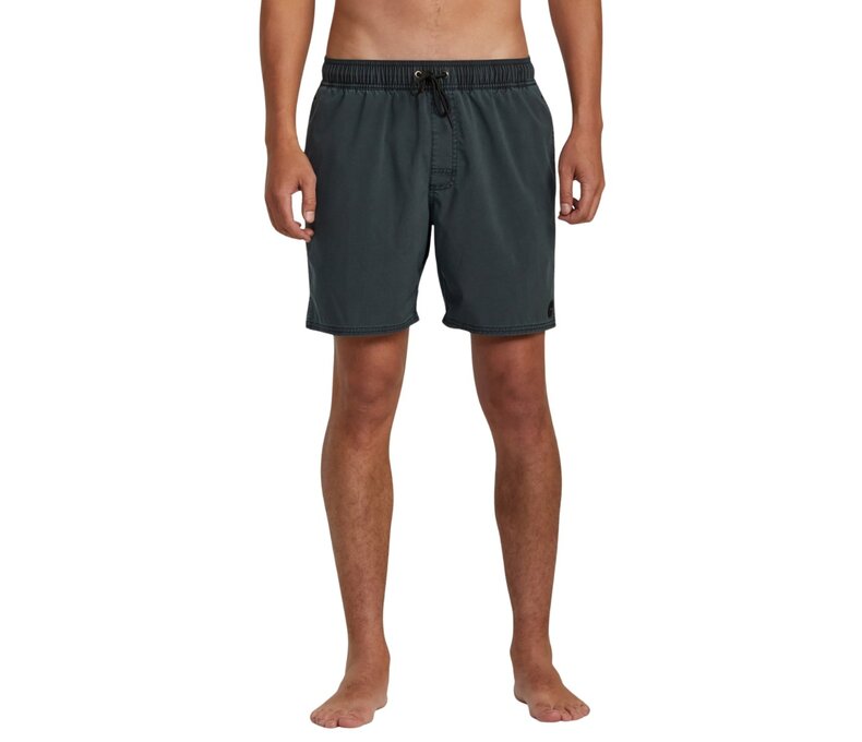 Pigment Elastic Waist Boardshorts