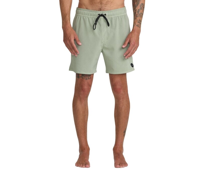Pigment Elastic Waist Boardshorts