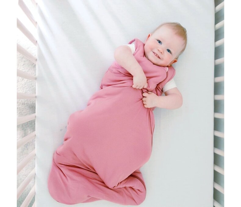 Sleep Bag 2.5 Tog