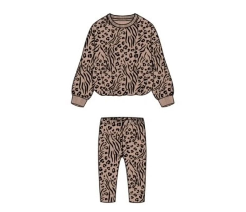 Toddler 2 Piece Crewneck and Leggings Set