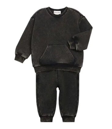 Baby 2 Piece Long Sleeve Sweatshirt and Pant Set