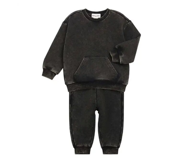Baby 2 Piece Long Sleeve Sweatshirt and Pant Set