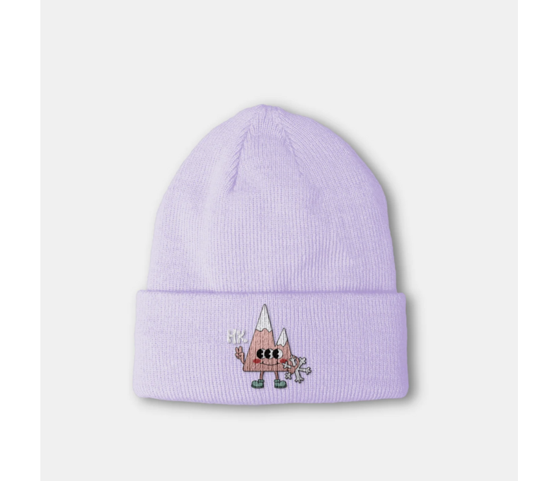 Kingston Icon Fleece-Lined Beanie in Everest